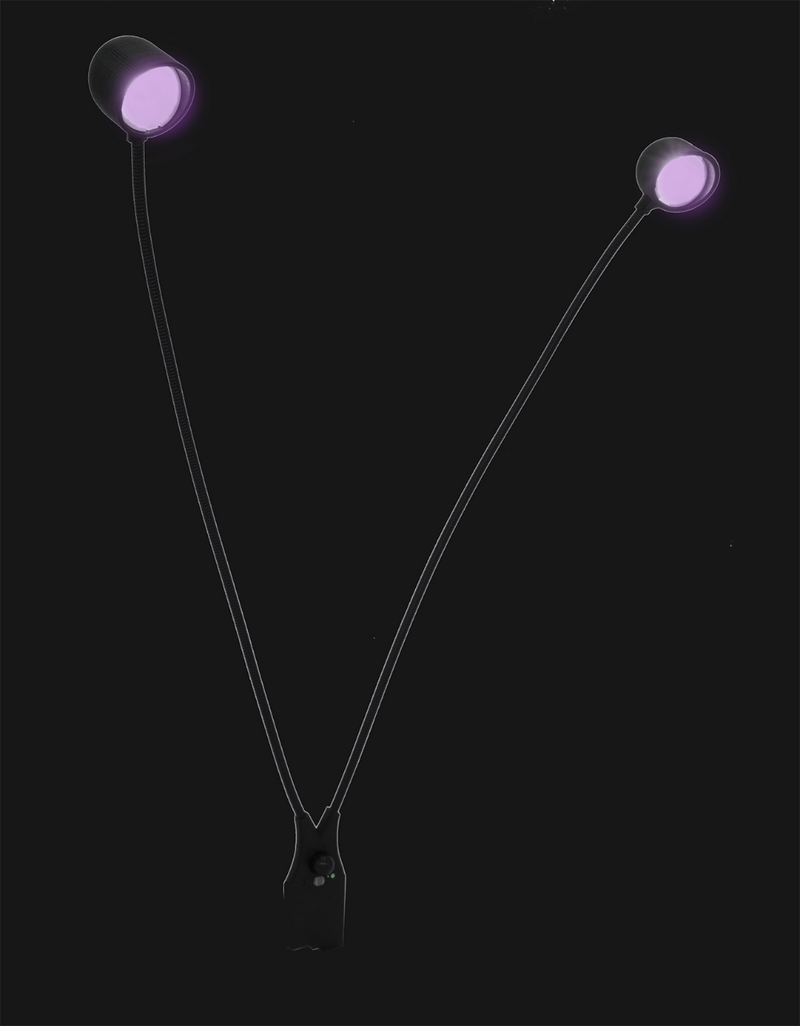 Félicité : Lampe autonome 2 têtes pour tableau large (largeur inférieure à 90cm)