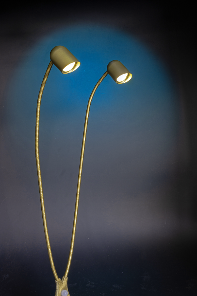 Félicité Luxe : Lampe autonome 2 têtes aluminium anodisé pour tableau large (largeur inférieure à 90cm)