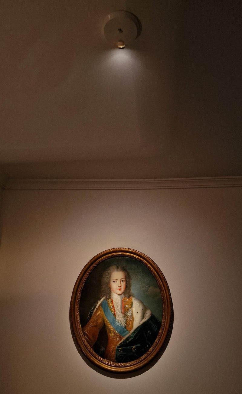 Vénus : Lampe autonome Plafonnier